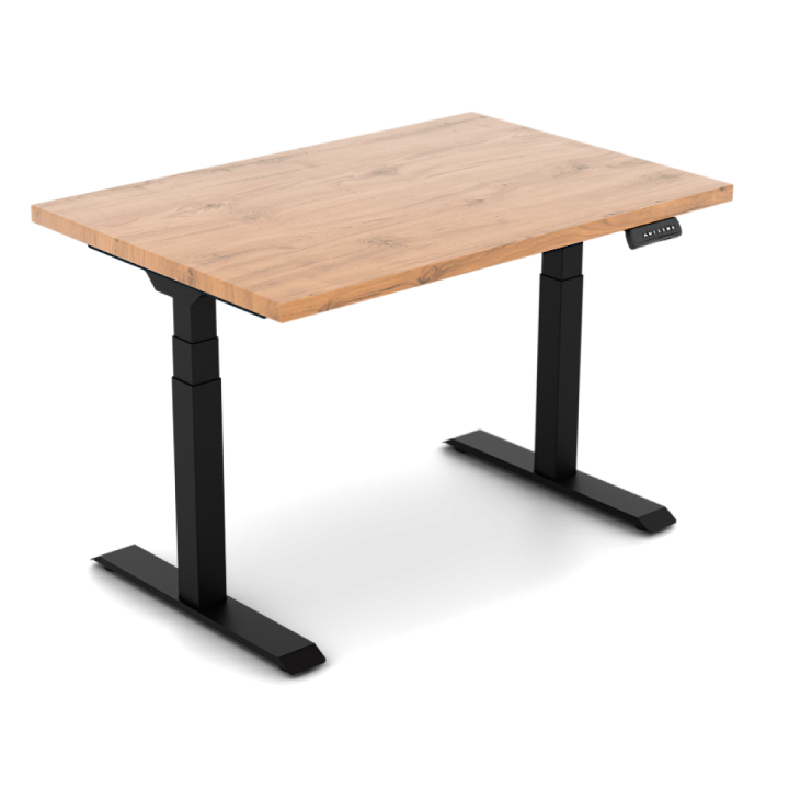 ET223_IB_oak.png