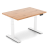 ET223_IB_oak_biale.png
