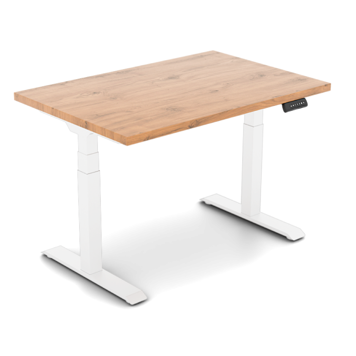 ET223_IB_oak_biale.png